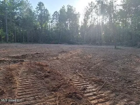 1078 Dry Creek Rd, Mendenhall, MS 39114