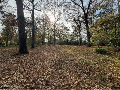 Other - 2871 Woodside Dr, Jackson, MS 39212 photo 4 of 4