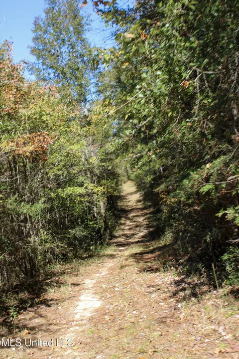 Other - 2108 Joel Lang Rd, Mccomb, MS 39648 photo 31 of 54