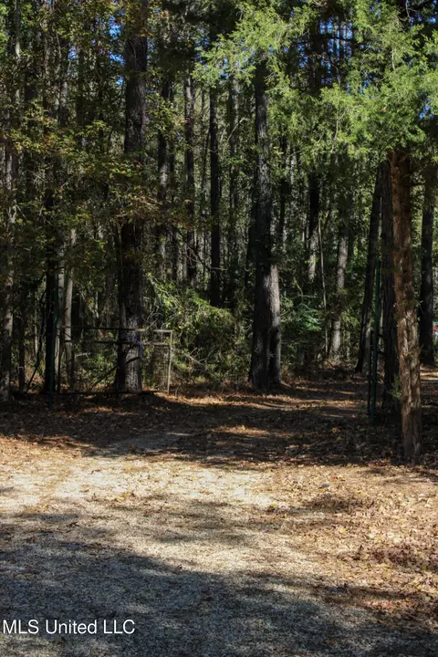 Exterior - 2108 Joel Lang Rd, Mccomb, MS 39648 photo 4 of 21