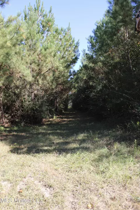 Other - 2108 Joel Lang Rd, Mccomb, MS 39648 photo 52 of 54