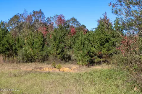 Other - 2108 Joel Lang Rd, Mccomb, MS 39648 photo 25 of 54