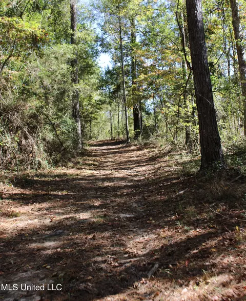 Other - 2108 Joel Lang Rd, Mccomb, MS 39648 photo 51 of 54