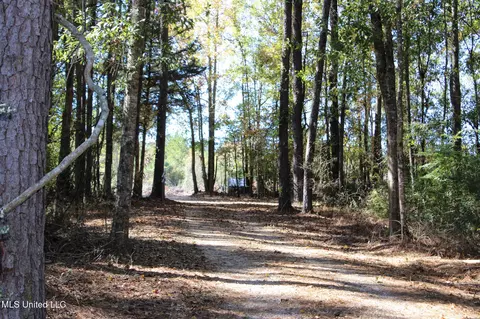 Exterior - 2108 Joel Lang Rd, Mccomb, MS 39648 photo 3 of 21