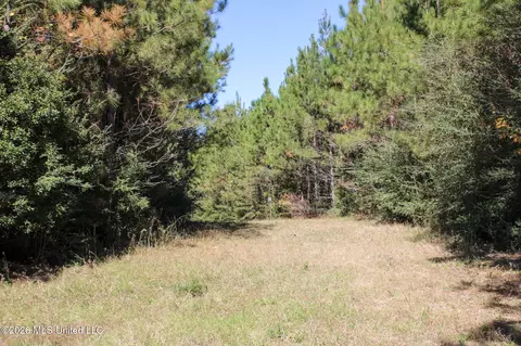 Other - 2108 Joel Lang Rd, Mccomb, MS 39648 photo 2 of 54