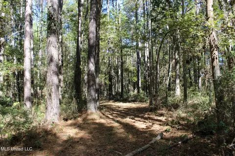 Other - 2108 Joel Lang Rd, Mccomb, MS 39648 photo 45 of 54