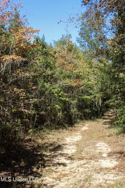 Other - 2108 Joel Lang Rd, Mccomb, MS 39648 photo 30 of 54