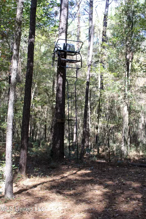 Other - 2108 Joel Lang Rd, Mccomb, MS 39648 photo 49 of 54