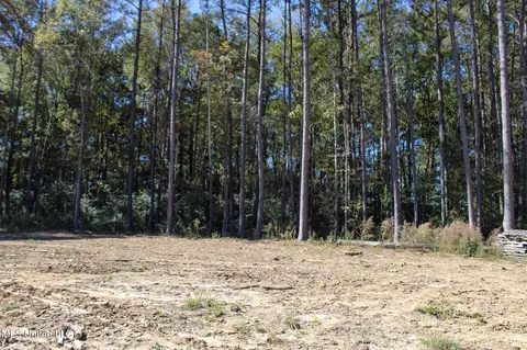 Other - 2108 Joel Lang Rd, Mccomb, MS 39648 photo 41 of 54