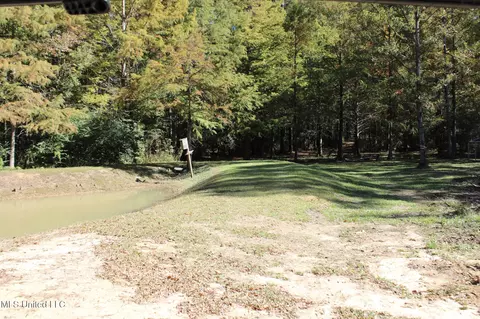 Other - 2108 Joel Lang Rd, Mccomb, MS 39648 photo 42 of 54