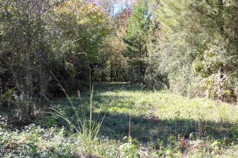Other - 2108 Joel Lang Rd, Mccomb, MS 39648 photo 27 of 54
