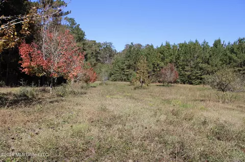 Other - 2108 Joel Lang Rd, Mccomb, MS 39648 photo 39 of 54