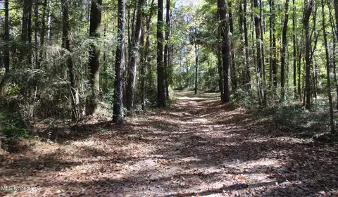 Other - 2108 Joel Lang Rd, Mccomb, MS 39648 photo 43 of 54