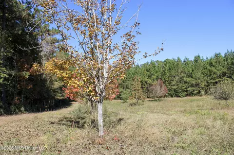 Other - 2108 Joel Lang Rd, Mccomb, MS 39648 photo 38 of 54