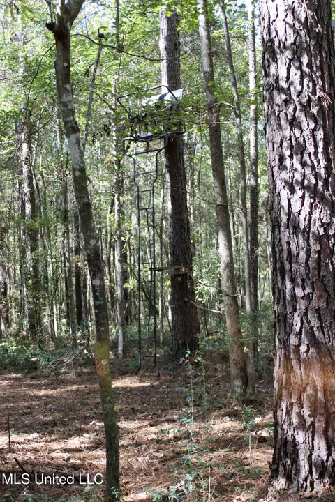 Other - 2108 Joel Lang Rd, Mccomb, MS 39648 photo 48 of 54