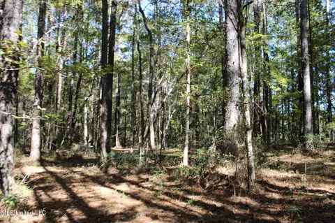 Other - 2108 Joel Lang Rd, Mccomb, MS 39648 photo 47 of 54