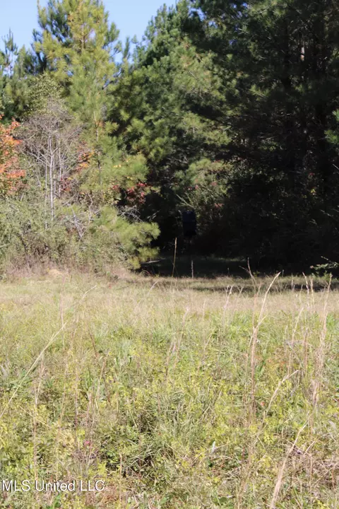 Other - 2108 Joel Lang Rd, Mccomb, MS 39648 photo 29 of 54