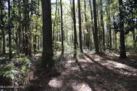 Other - 2108 Joel Lang Rd, Mccomb, MS 39648 photo 50 of 54