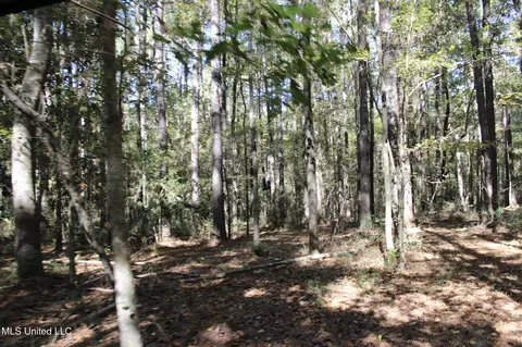 Other - 2108 Joel Lang Rd, Mccomb, MS 39648 photo 46 of 54