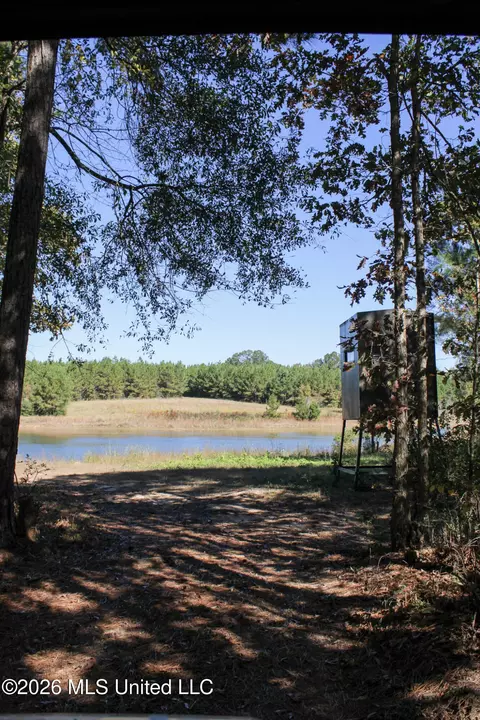 View/Area - 2108 Joel Lang Rd, Mccomb, MS 39648 photo 2 of 2