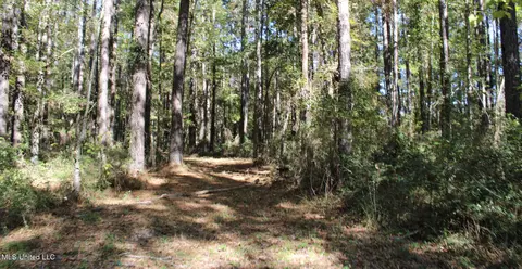 Other - 2108 Joel Lang Rd, Mccomb, MS 39648 photo 44 of 54
