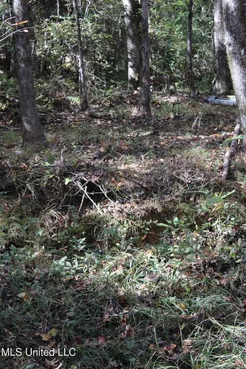 Other - 2108 Joel Lang Rd, Mccomb, MS 39648 photo 28 of 54