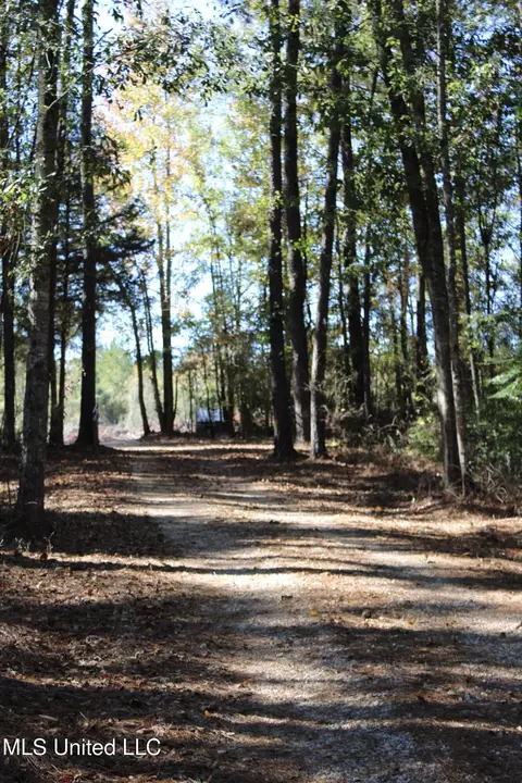 Other - 2108 Joel Lang Rd, Mccomb, MS 39648 photo 3 of 54