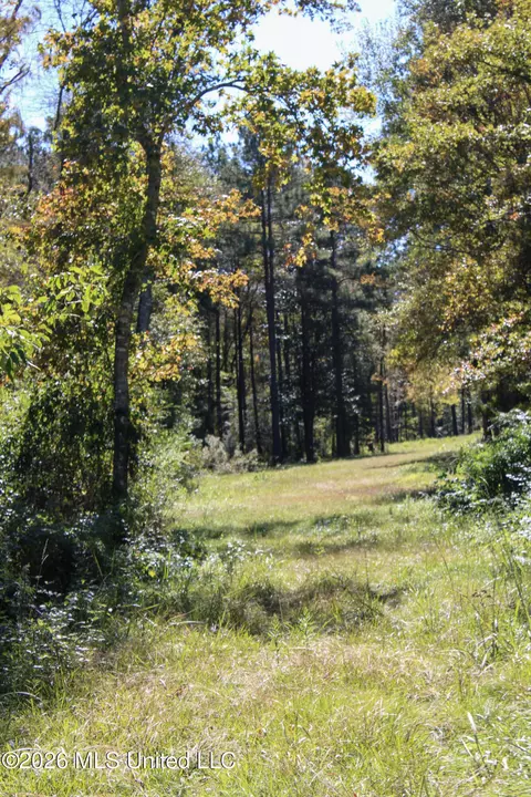 Other - 2108 Joel Lang Rd, Mccomb, MS 39648 photo 37 of 54