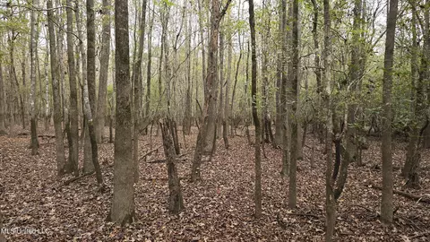 000 Wheatfield Rd, Poplarville, MS 39470