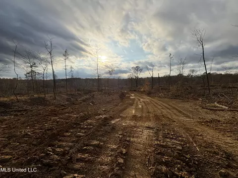 Lane Road, Cascilla, MS 38920 photo 19