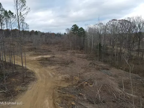 Lane Road, Cascilla, MS 38920 photo 6