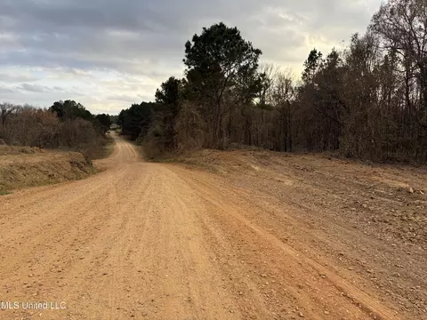 Lane Road, Cascilla, MS 38920 photo 17