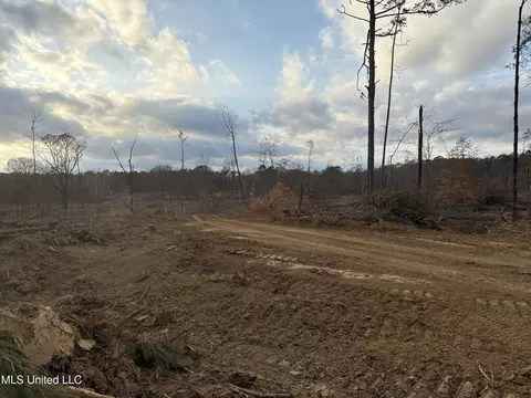 Lane Road, Cascilla, MS 38920 photo 16