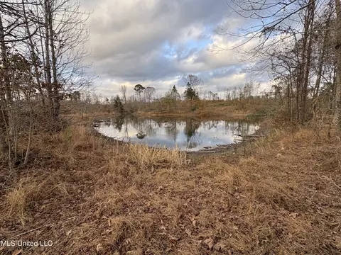 Lane Road, Cascilla, MS 38920 photo 28
