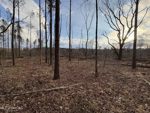 Lane Road, Cascilla, MS 38920 photo 27