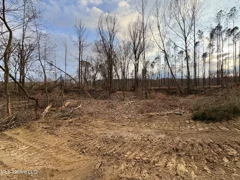 Lane Road, Cascilla, MS 38920 photo 22