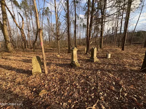 Lane Road, Cascilla, MS 38920 photo 26