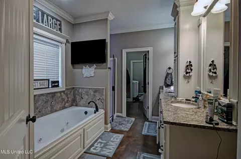 Bath - 217 Stonebridge Blvd, Brandon, MS 39042 photo 1 of 3