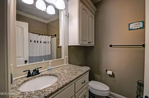 Bath - 217 Stonebridge Blvd, Brandon, MS 39042 photo 3 of 3