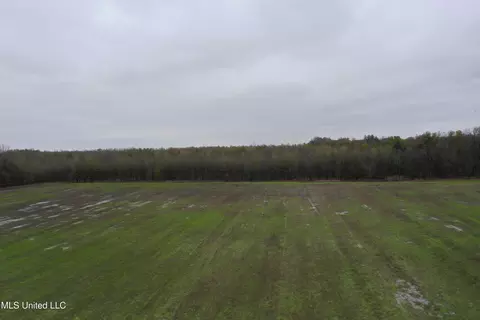 2000 Walnut Lake Rd, Dundee, MS 38626 photo 3