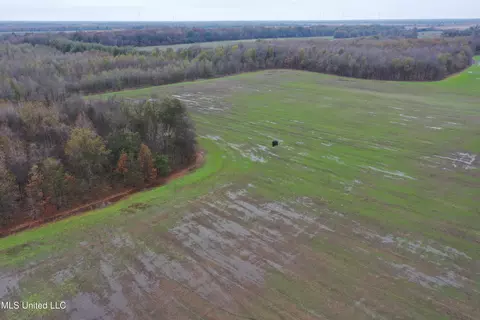 2000 Walnut Lake Rd, Dundee, MS 38626 photo 10