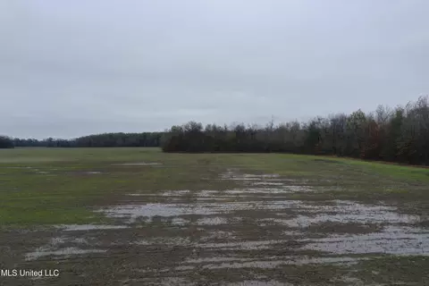 2000 Walnut Lake Rd, Dundee, MS 38626 photo 6