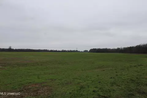 2000 Walnut Lake Rd, Dundee, MS 38626 photo 20