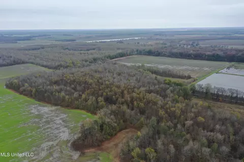 2000 Walnut Lake Rd, Dundee, MS 38626 photo 18