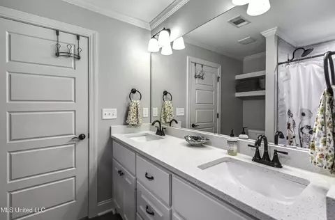 Bath - 730 Sawgrass Lakes Dr, Brandon, MS 39042 photo 4 of 5