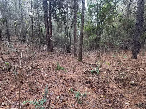 000 Elarton Rd, Osyka, MS 39657 photo 7