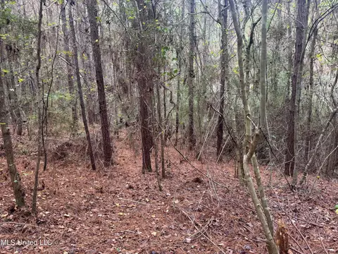 000 Elarton Rd, Osyka, MS 39657 photo 8