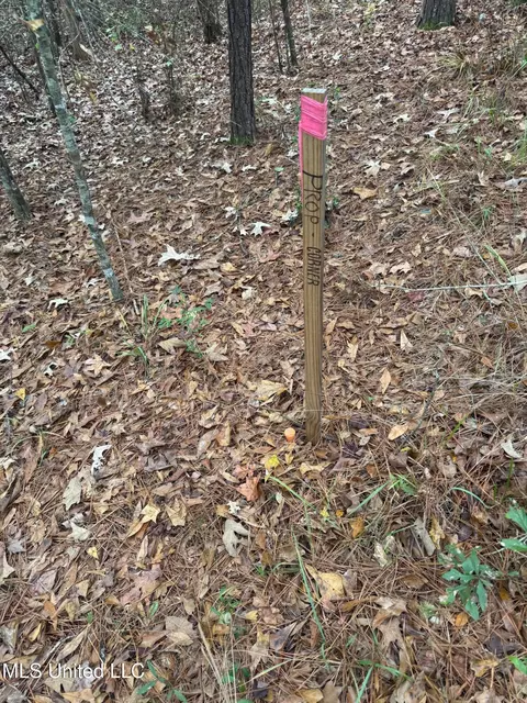 000 Elarton Rd, Osyka, MS 39657 photo 17