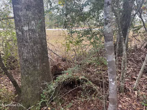000 Elarton Rd, Osyka, MS 39657 photo 11