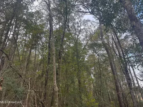 000 Elarton Rd, Osyka, MS 39657 photo 10